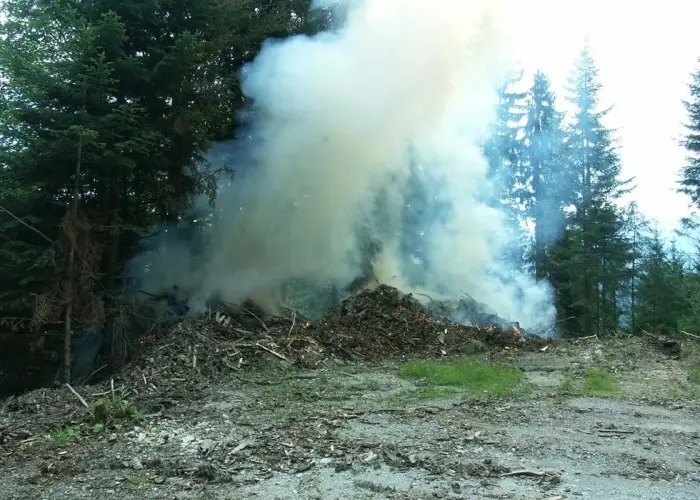 Waldbrand Galgenen 1